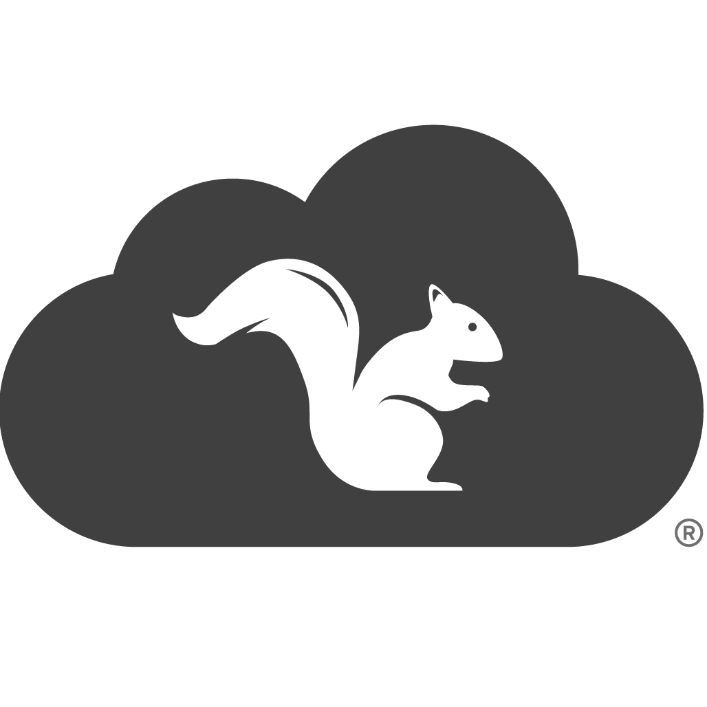 Squirrels_logo